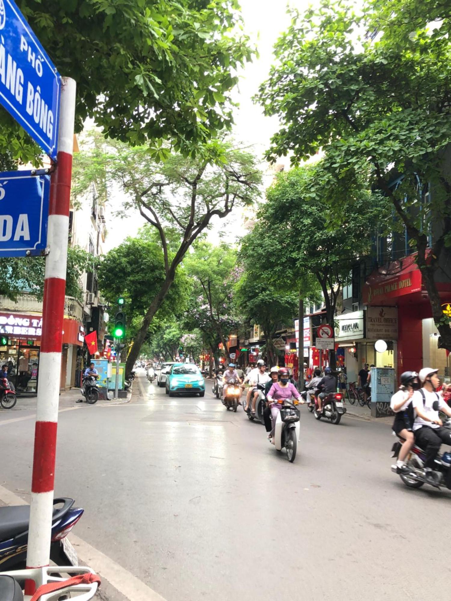 Privatehouse'sartistbrkitchenbalconyoldquarter Apartment Hanoi